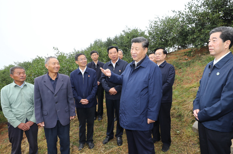 　　9月16日至18日，中共中央总书记、国家主席、中央军委主席习近平在河南考察。这是17日上午，习近平来到信阳市光山县槐店乡司马光油茶园，同正在劳作的村民和管理人员交流。 新华社记者 鞠鹏 摄